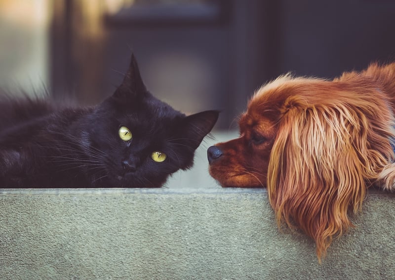 Building Relationships